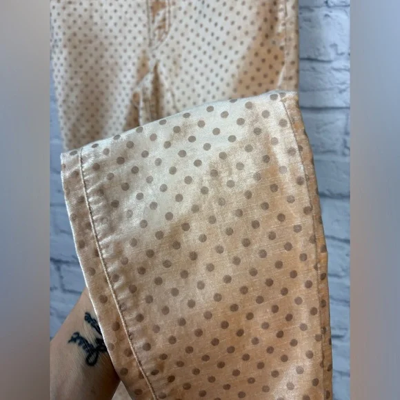 Anthropologie Pilcro Velvet Polka Dot High-Rise Skinny Ankle size 29 - Picture 4 of 8